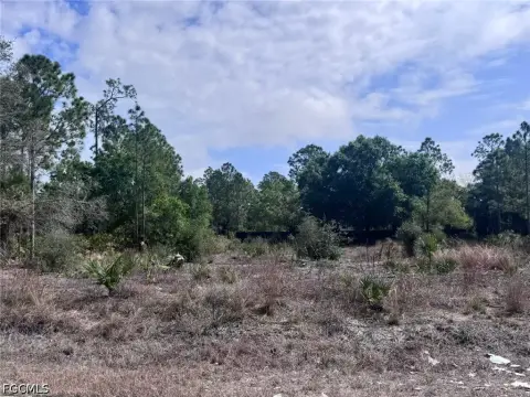 Residential Lot in Lehigh Acres