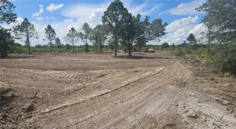 Cleared Land Ready for Development