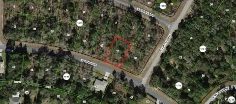 Citrus Springs Land Opportunity