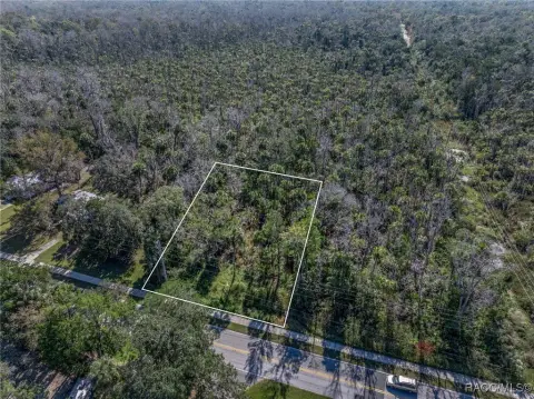 Homosassa Land Near Attractions