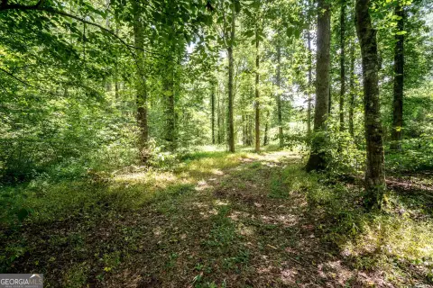 20 Acres in Coweta County
