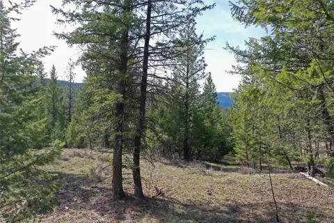 20 Acres with Mountain Views