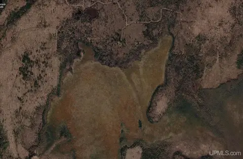 320-Acre Hunting Land