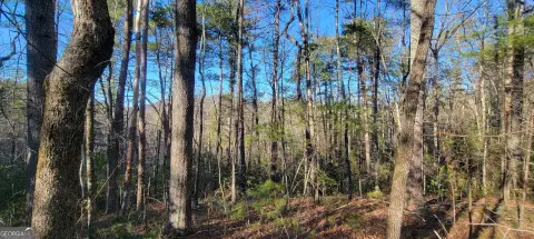 Land in Rabun County