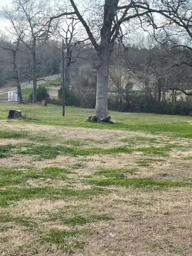 Nacogdoches Land with Pasture