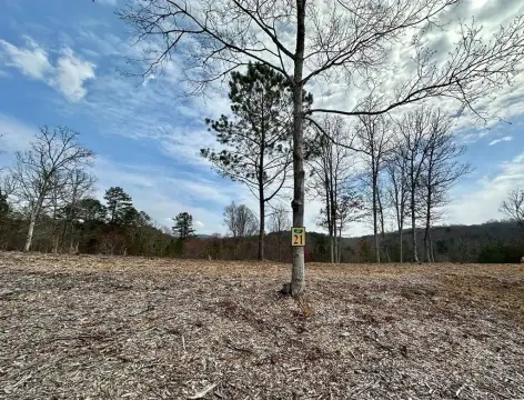 Mineral Bluff Vacant Lot For Sale