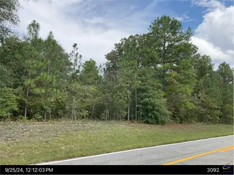 25.2 Acres Timber/Recreation Land