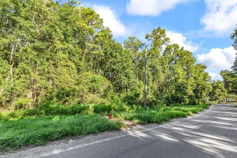 Wooded Land Parcel