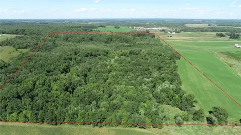 Forest And Tillable Hunting Land