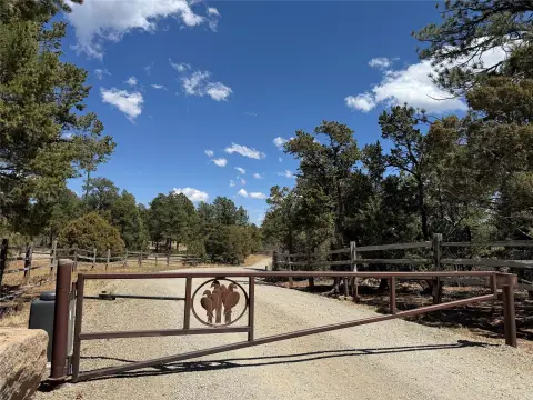 Wooded Lot in Gated Community