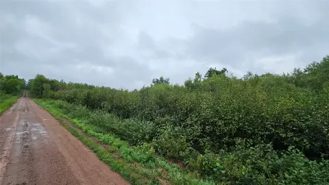 Hunting Land with Pond