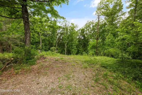 Fountain City Acreage Homesite