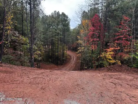 Wooded Land Ready to Build