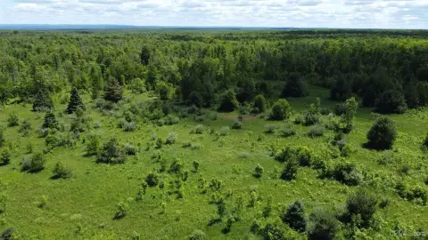 Wooded Hunting Land Parcel