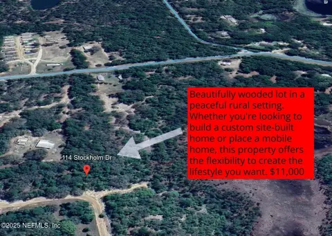 Wooded Lot in Interlachen, FL