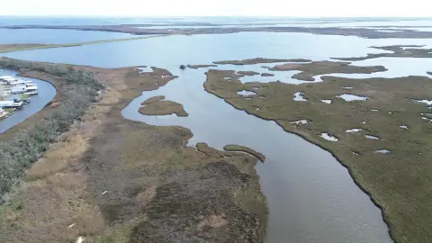 88 Acres of Marshland