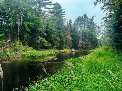 Waterfront Recreational Land