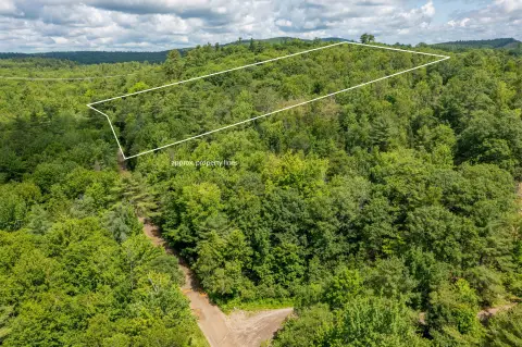 Wooded Recreation Land Parcel