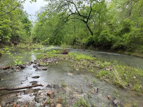 60 Acres Near Wildlife Area