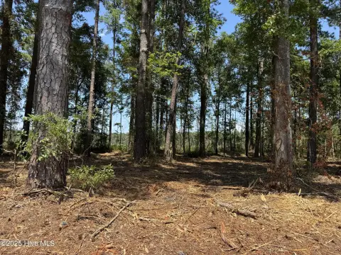 Tabor City Acreage For Sale