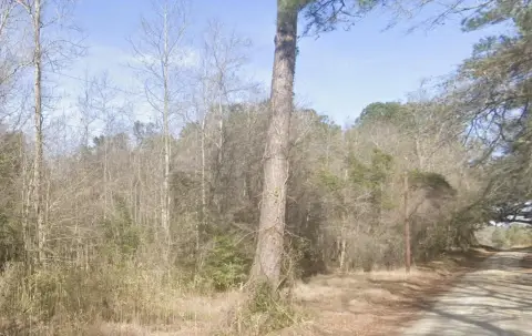Wooded Recreational Land