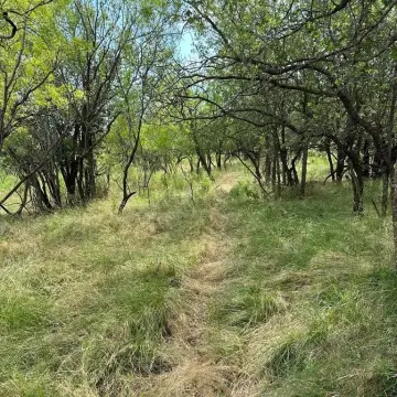 Abilene Ranch with Development Potential