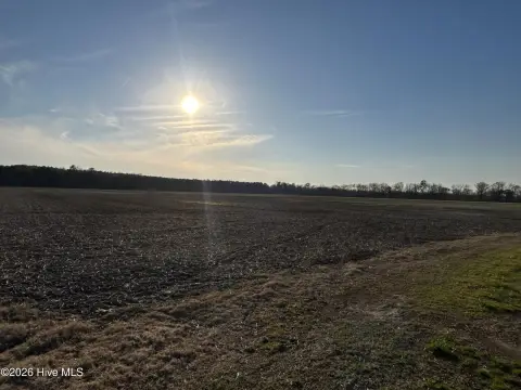 Farmland Homestead Opportunity in Hertford