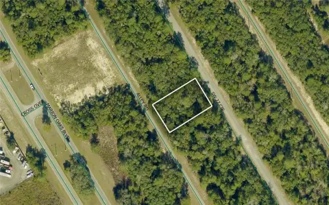 Wooded Commercial Land