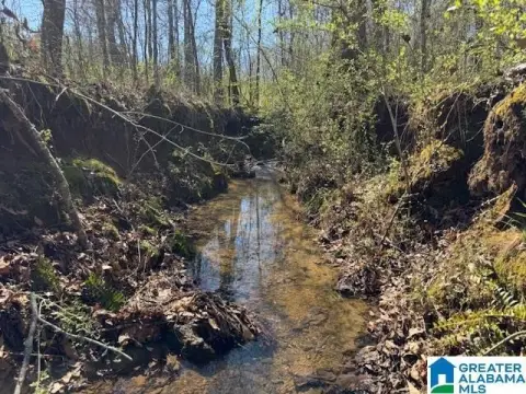 Agricultural Land With Creek