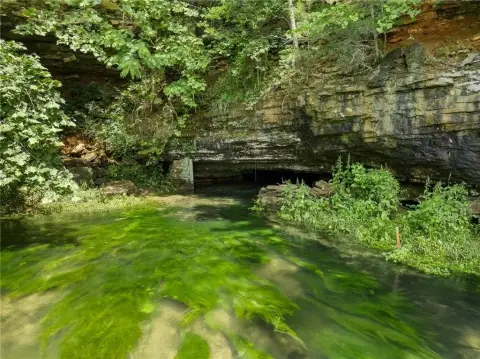 Mixed-Use Property with Trout Farm