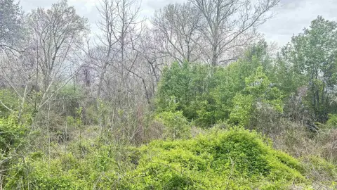 Residential Lot in Little Rock