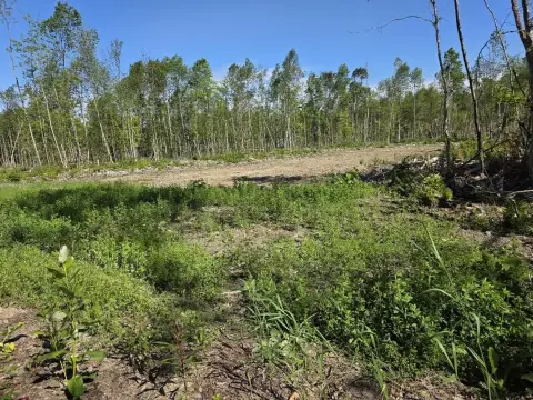 Wooded Recreational Land Tract
