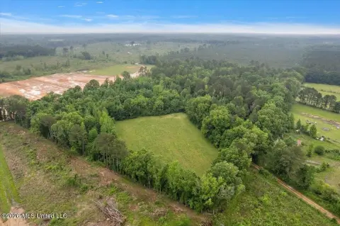 19 Acres of Country Land
