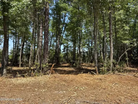Residential Land in Tabor City