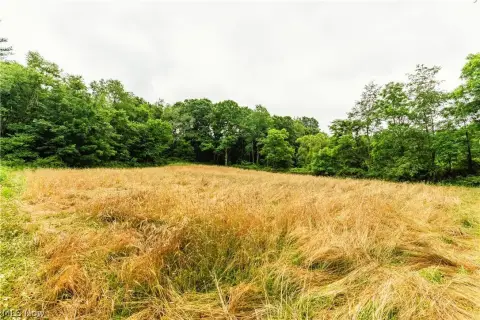 Wooded Hunting Land