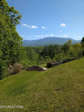 95 Acres Wooded Land