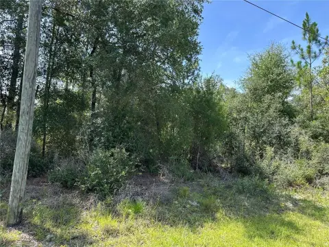 Residential Land in Dunnellon, FL
