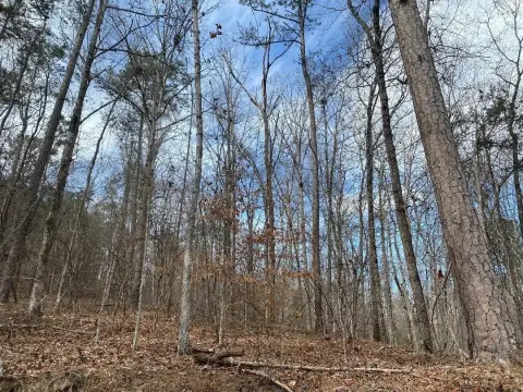 Land For Sale Near Smith Lake