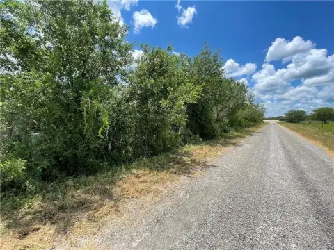 Orange Grove Land For Sale