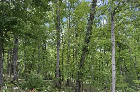Wooded Lot with Golf Course Views
