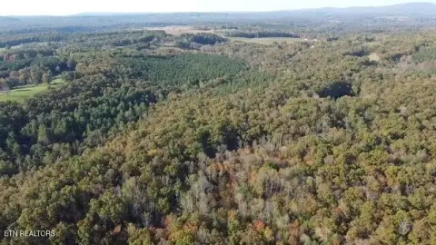 Grandview Land with Blue Branch
