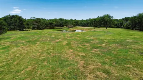 Country Acreage with Pasture & Trees