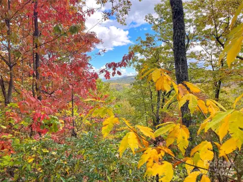 Mountain View Land For Sale