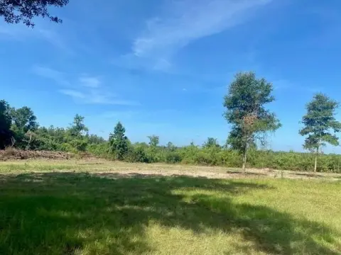 45 Acres in Plainview, Louisiana