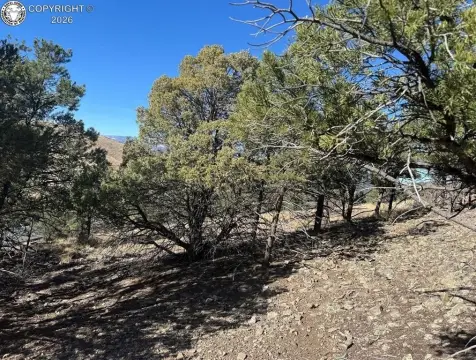 Land in Wooded Cotopaxi Area