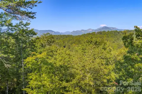 Lake Lure Mountain Dream Home