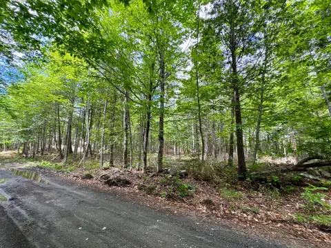 Wooded Recreation Land Parcel