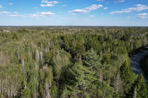 42 Acres of Maine Woods
