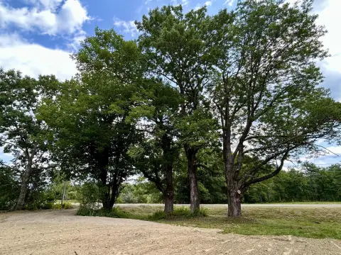 Mostly Cleared Rural Residential Land