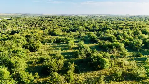 Kingston, OK Vacant Land Opportunity